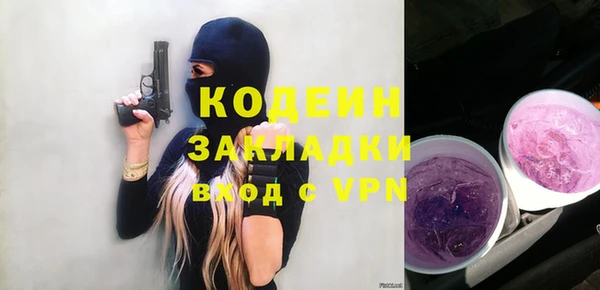 шишки Лагань