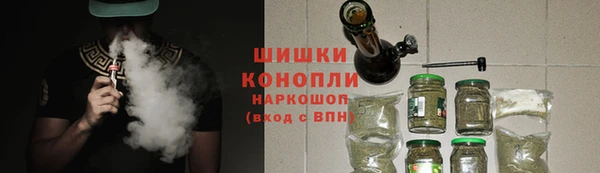 шишки Лагань