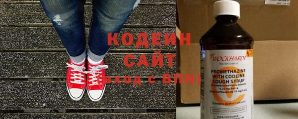 шишки Лагань