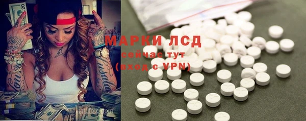 шишки Лагань