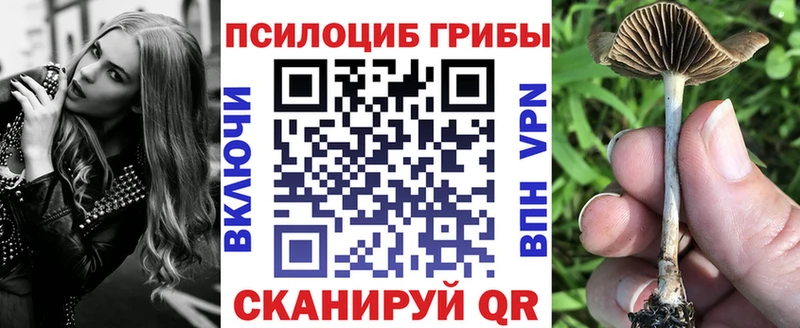 Галлюциногенные грибы мицелий Кольчугино